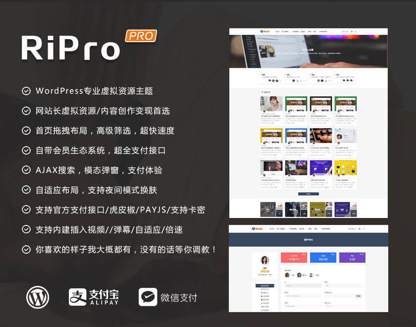 RIPro主题强制绑定用户邮箱的功能